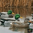 thumbnail image 4 of AVIAN-X Topflight Open Water Duck Durable Realistic Hunting Floating Mallard Decoys, Pack of 6, AVX8061, 4 of 10