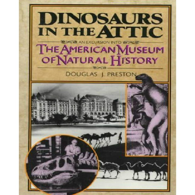 Dinosaures dans le Grenier par Preston, Douglas J.
