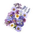 thumbnail image 3 of Bolsa de material en relieve con flores secas Bolsa combinada con flores prensadas Pegatina de muestra de hoja real con flores reales, 3 of 5