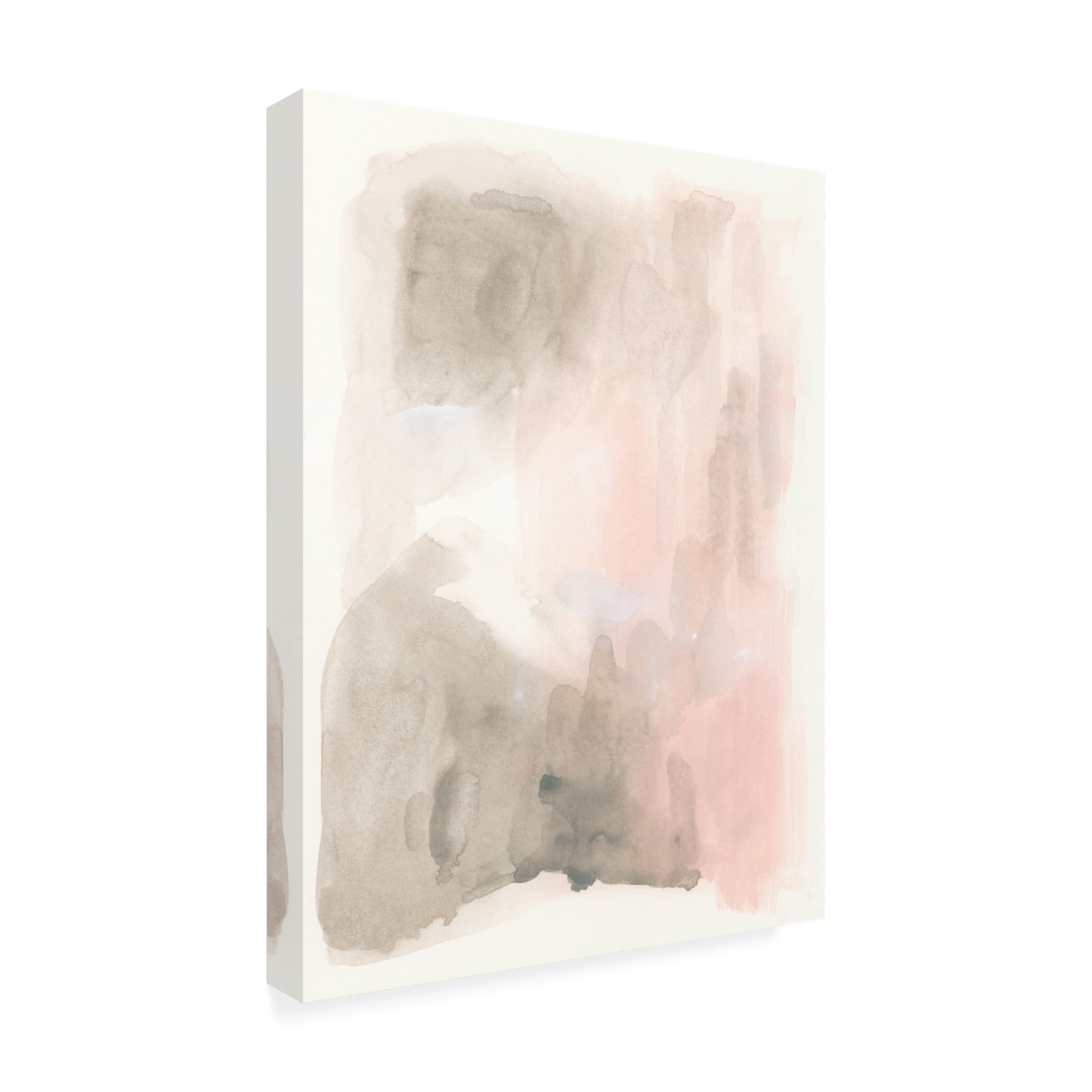 Trademark Fine Art June Erica Vess  Rose Stalagmite I Canvas Wall Art