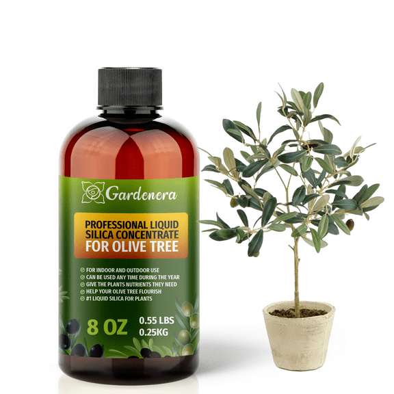 ⭐ 𝐁𝐄𝐒𝐓𝐒𝐄𝐋𝐋𝐄𝐑 Liquid Silica Plant Supplement - 8oz (250mL) - OLIVE TREE Plants Liquid Silica Boost Fertilizer - Stronger Stems & Healthy Leaves for Indoor & Outdoor Olive Trees (Makes 45 Gallons)