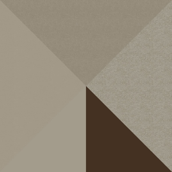 Desert Wonder
