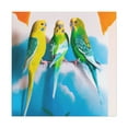 thumbnail image 1 of Parakeet Abstractions, - Canvas, 1 of 10