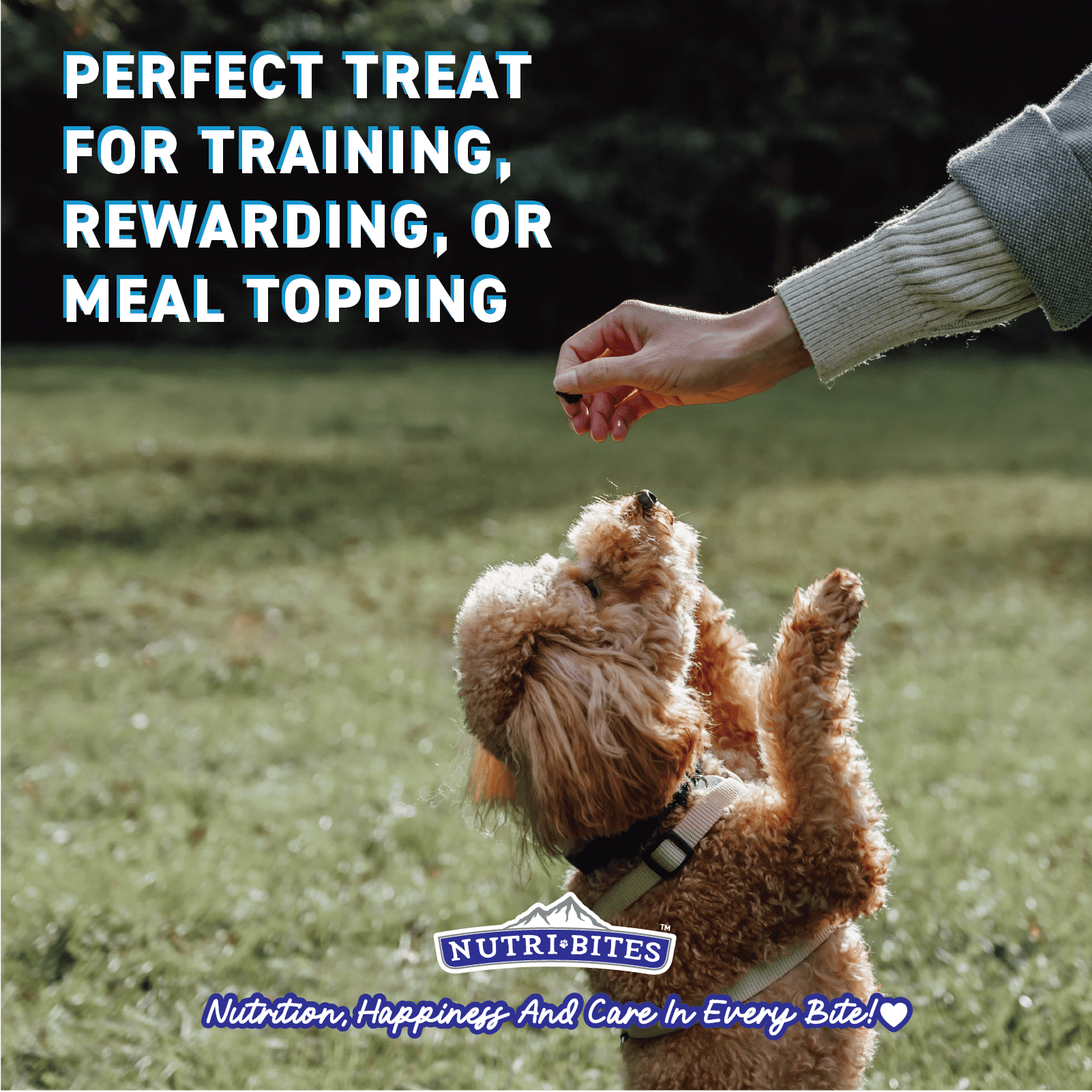 Canature NutriBites Freeze Dried Chicken Dog and Cat Treat 22 Ounce