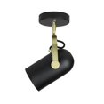 thumbnail image 1 of Industrial Theatrical 1 - Light Ceiling Semi Flush, 1 of 1