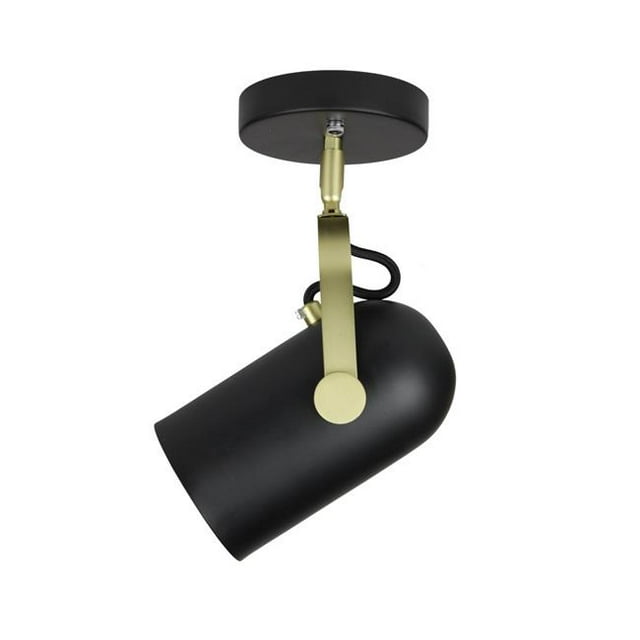 Industrial Theatrical 1 - Light Ceiling Semi Flush