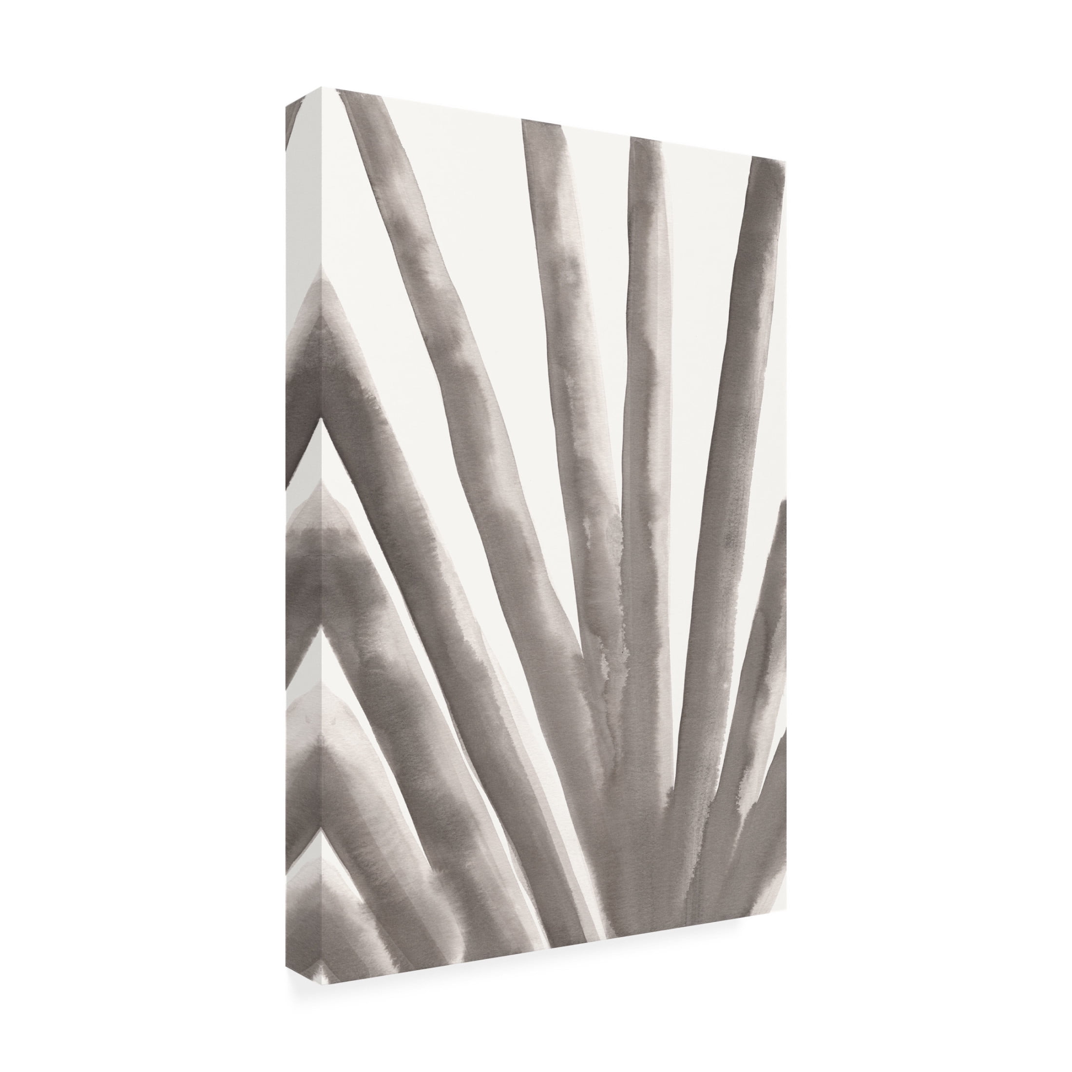 Canvas Wall Art - Pictufy Studio 'Aloe Vera' Wall Art for Living Room, Bedroom, or Office Décor by Trademark Fine Art - 16 x 24 Inches