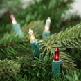thumbnail image 3 of Northlight Mini Incandescent Christmas Lights - Red and Clear - 10' Green Wire - 50ct, 3 of 6