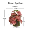 thumbnail image 3 of Plantas Verdes Artificiales Planta artificial morada de 23 hojas con hojas de alumbre con textura adhesiva para decoración de interiores y accesorios de pared (1 pieza) Rkxzt, 3 of 8