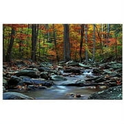 Trademark Art "Hymn an Autumn" Canvas Art by CATeyes, 30x47