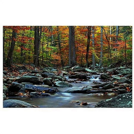 Trademark Art "Hymn an Autumn" Canvas Art by CATeyes, 30x47