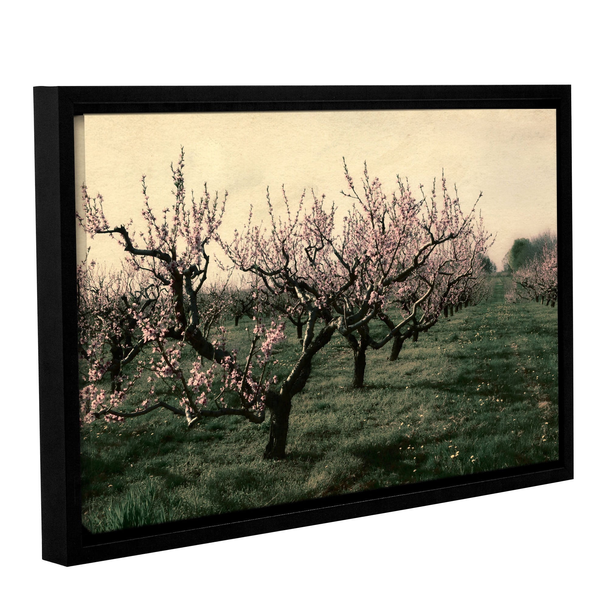 ArtWall Kevin Calkins "Cheery Cherries" Gallery-Wrapped Floater-Framed Canvas
