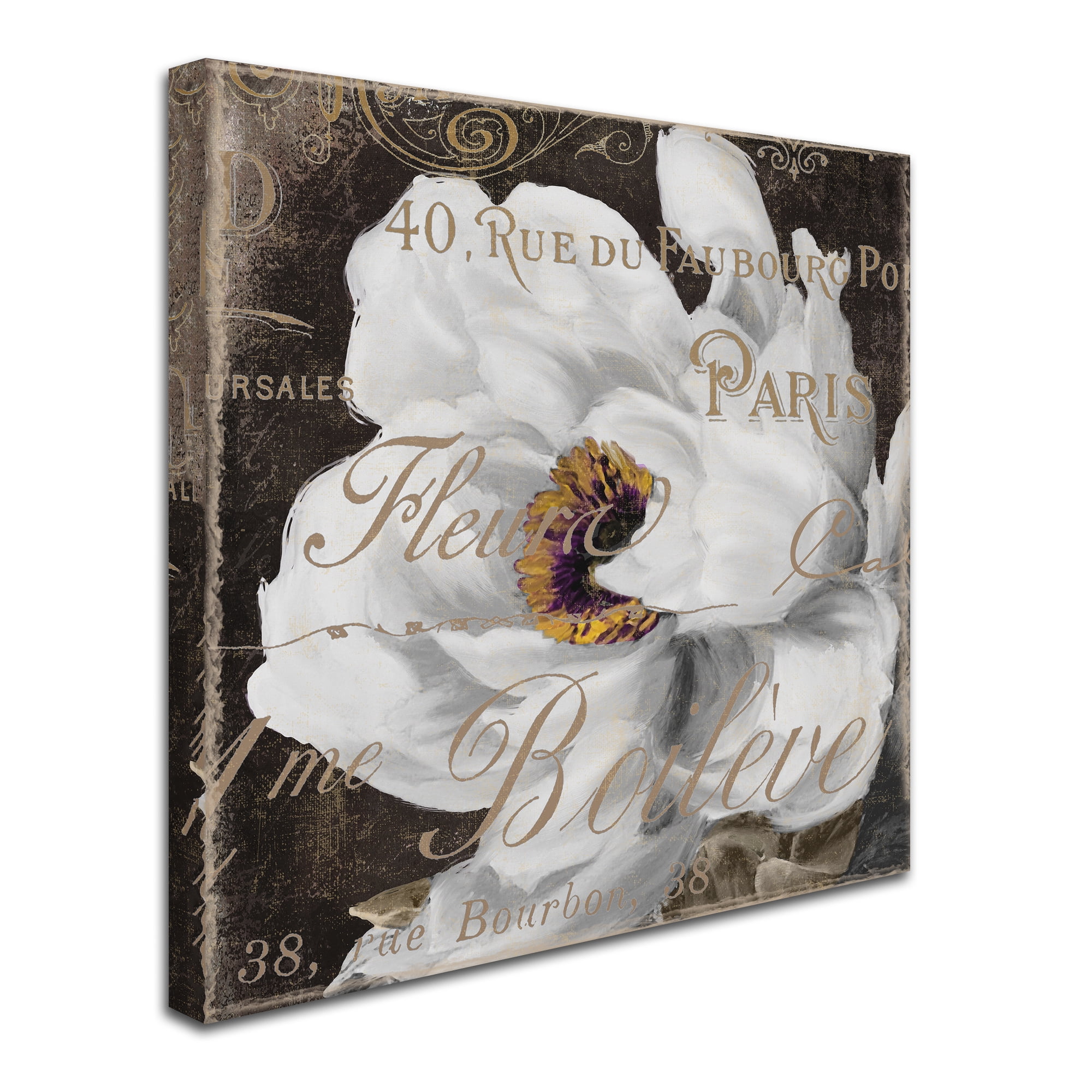 Trademark Fine Art "Fleurs Blanc III" Canvas Art by Color Bakery