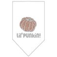 thumbnail image 5 of Halloween Pet and Dog Bandana Rhinestone, "Lil Punkin", 5 of 10