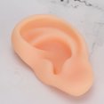thumbnail image 3 of Modelo de oreja, modelo de oreja simulada profesional, herramienta de enseñanza de oreja, modelo de acupuntura de oreja, grado profesional, 3 of 5