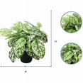 thumbnail image 2 of Pequeña simulación de plantas verdes, maceta para decoración de ventanas del hogar, adornos, maceta, simulación de flores, plantas suculentas, flores falsas (hojas manchadas (blanco)) JM JM, 2 of 3