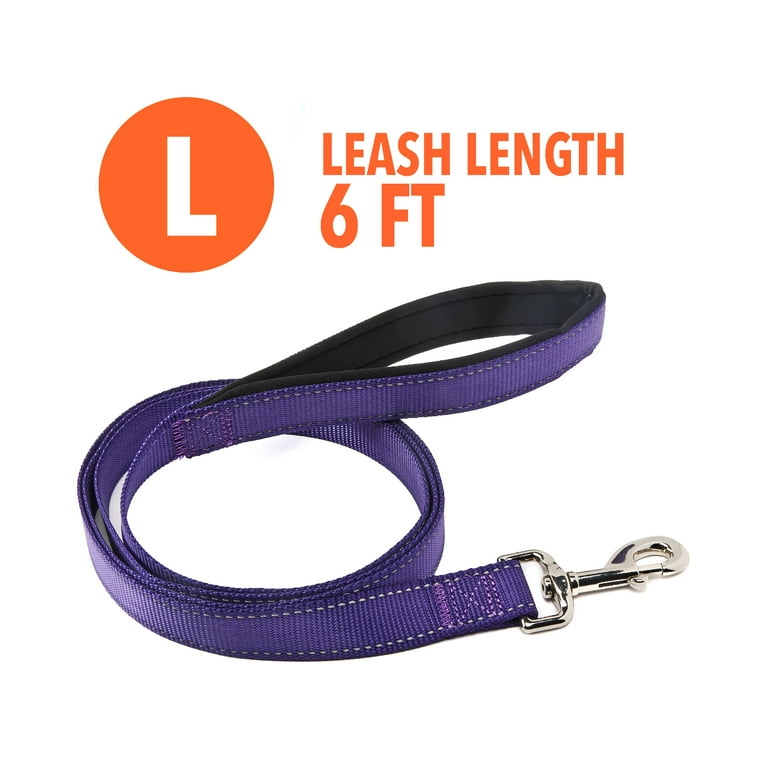 Vibrant Life Reflective Comfort Dog Leash Large Purple 6ft x 1in