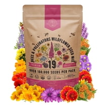 Organo Republic 19 Annual & Perennial Wildflower Seeds Mix for Attract Bees & Butterflies