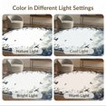 thumbnail image 7 of ODIKA 5'x7' Ultra-Soft Area Rug, Gothic Snake Witchy Moody Whimsical Frame Moth Witch Themed Carmel None Washable, Bare feet friendly, Silk-Touch for Bedroom Home office, 7 of 7