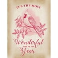 thumbnail image 2 of Art Licensing Studio 19x24 White Modern Wood Framed Museum Art Print Titled - Christmas Cardinal, 2 of 4