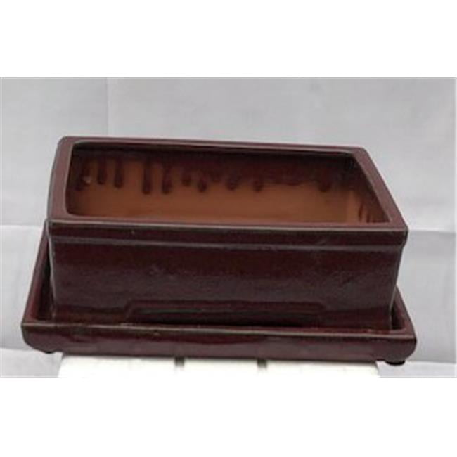 Bonsai Boy L242a 10.5 x 7.75 x 3.5 in. Ceramic Bonsai Pot with Humidity