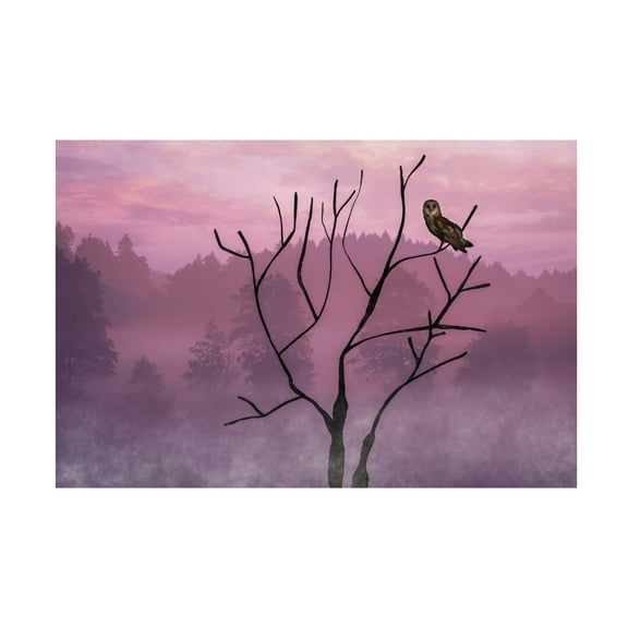 Trademark Fine Art Barbara A Fletcher Pink Sky in the Morning Canvas Wall Art