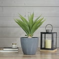 thumbnail image 2 of Northlight 22" Potted Green Artificial Agave Plant, 2 of 5
