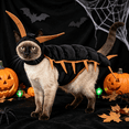 thumbnail image 6 of Centipede Cat Costume, 50'' 3D Halloween Pet Cosplay Outfit for Cats, Multi-Leg Character with Filled Body, Hook-and-Loop Fit for Parties Photos Dress-Up Pet Events and Gifts,Gold, 6 of 7