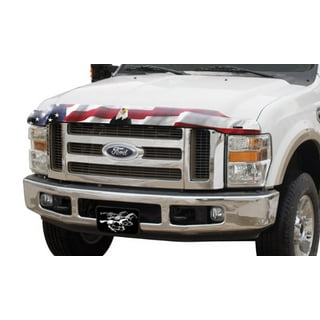 Bug 2024 deflector f150