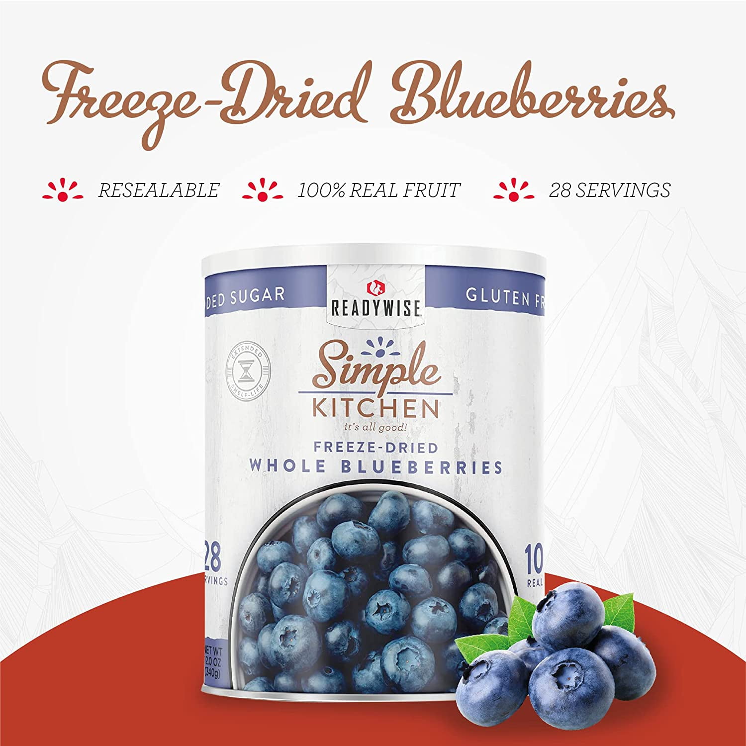 ReadyWise Dehydrated Blueberries for Smoothies & Snacks, 28 Servings
