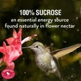thumbnail image 4 of Perky-Pet 16 fl oz Clear Hummingbird Nectar Concentrate – 16 oz, 4 of 7