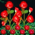 thumbnail image 1 of Luces solares de jardín ANGMLN, paquete de 2 unidades, 7 colores cambiantes, rosa roja, 1 of 8