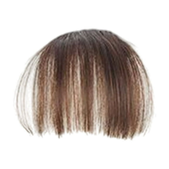 LEHOZIHEQ Clip in Bangs, Princess Cut Bangs Hair Piece, with Temples Flat Neat Bangs Hair Extension Clip on Bangs for Women, Real Human Hair Clip in Bangs for Women(D)
