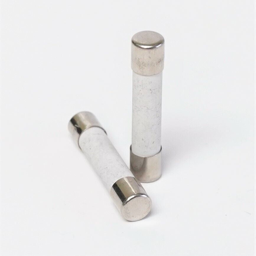 Ceramic 20 Amp Slow Blow Microwave Fuses 2 PACK