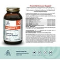 thumbnail image 2 of PURICA - Immune 7-360 caps, 2 of 7