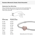 thumbnail image 6 of Pandora Moments Women's Sterling Silver Snake Chain Charm Bracelet with Pave Heart Clasp, 6 of 10