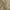 Taupe, variant on OVZME Troy White Crushed Sheer Curtains 84 inches Long 2 Panels, Light Filtering Privacy Solid Texture Curtains with Rod Pocket Soft Breathable Window Treatments for Bedroom Living Room, 42Wx84L