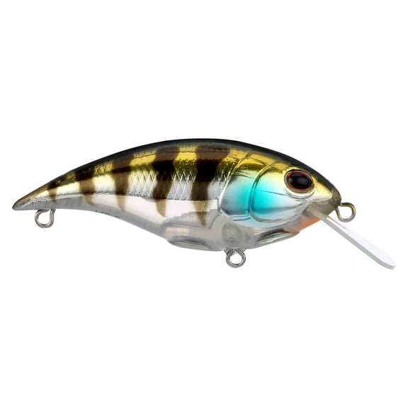 Berkley Shallow Money Badger Fishing Crankbait, 2.5 in, Hybrid Baitfish-Crayfish