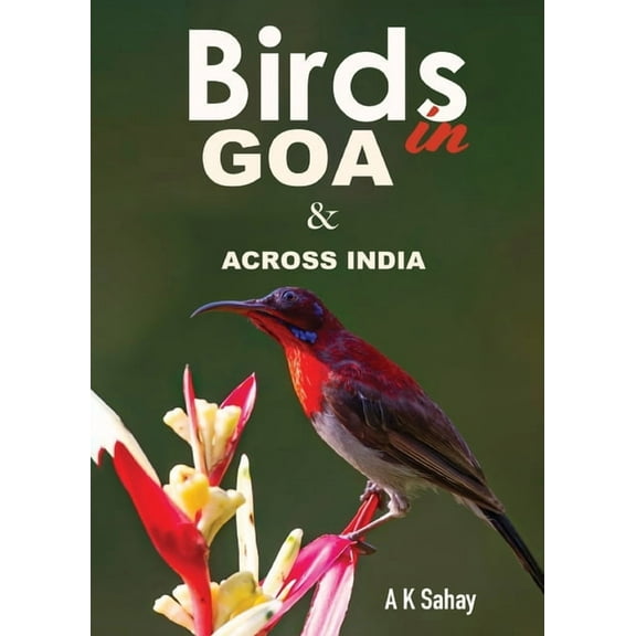 Birds in Goa & Across India, (Paperback)