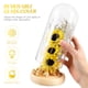 thumbnail image 5 of Girasoles encantados de OSALADI con luces de hadas en cúpula de cristal para decoración de interiores, festivales y fiestas (amarillo), 5 of 7