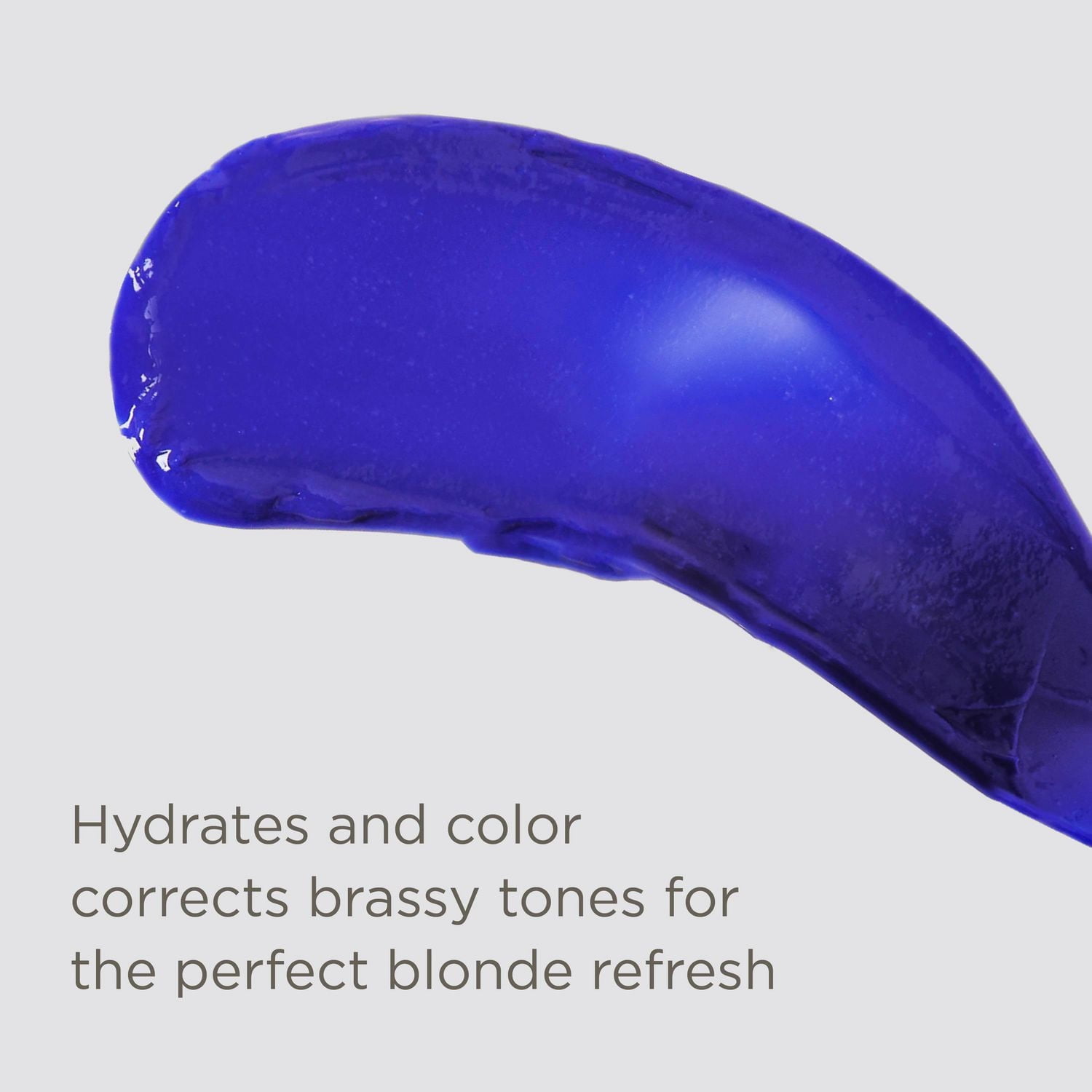 Pass On The Brass - Purple Conditioner, Colour conditioner