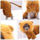 thumbnail image 2 of Divertidos disfraces de león para mascotas, disfraz de Halloween, ropa cálida para perros, 2 of 8