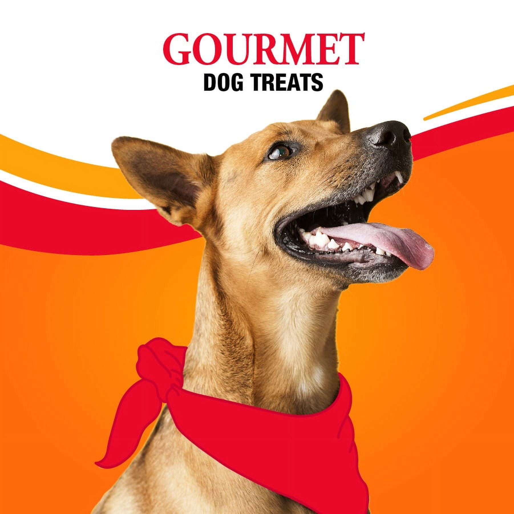 Good 'n' Fun Triple Flavor Double Pops with Chicken, Rawhide Chews for All Dogs, 5.5 oz.