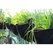 SMART POT Wall Flower Saddle