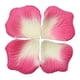 thumbnail image 1 of Decoración de confesión de boda de día de San Valentín con pétalos de rosa falsos esparcidos a mano, 1 of 5
