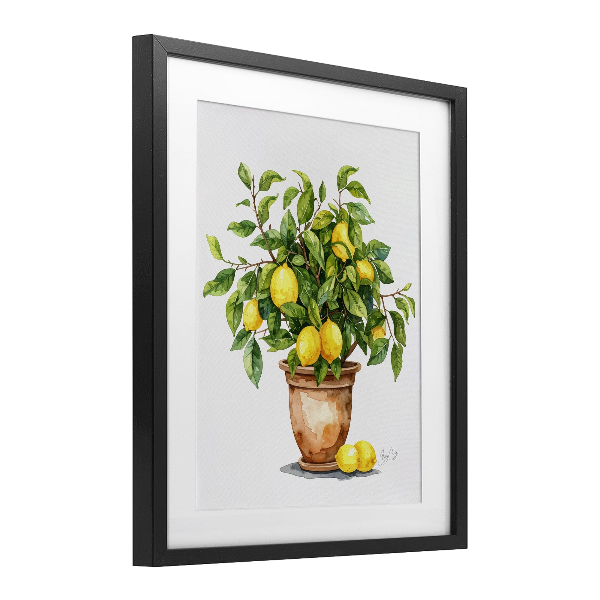 Stupell Industries Potted Lemon Tree Black Framed Print Under Glass, design by Shelly Craig