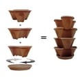 thumbnail image 3 of Nancy Janes P1060 12 in. Single Self Watering Planter Terracotta, 3 of 3