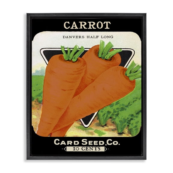 Stupell Industries Traditional Vintage Garden Carrots Black Floating Frame Canvas Art, 25 x 31, by Lil' Rue