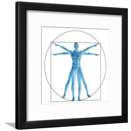 Vitruvian Human or Man, Anatomy Body for Biology Framed Print Wall Art By (Best Black Male Body)