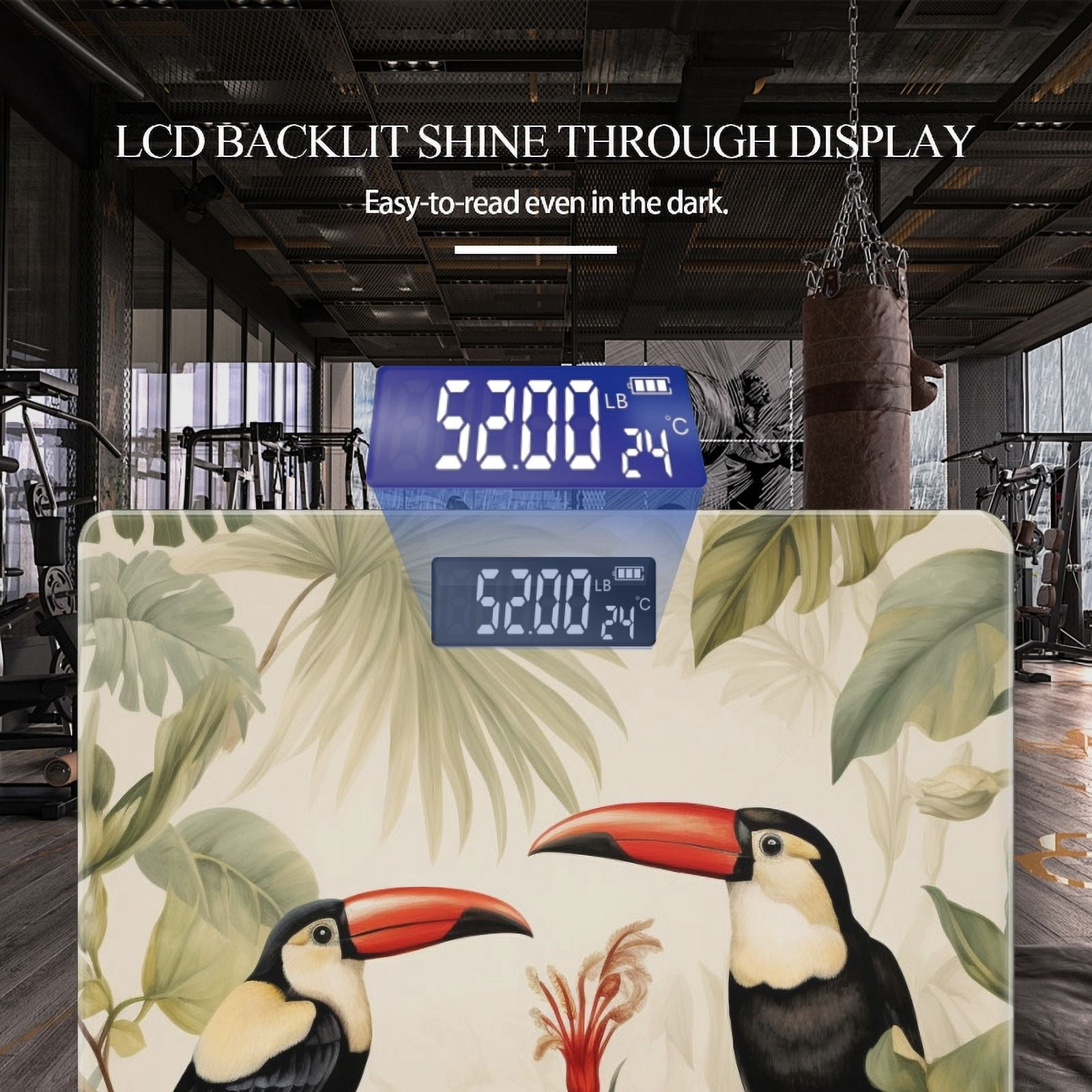 High Precision Body Weight Scale Smart Bathroom Scales with Large LCD Display(400lbs),Decorative for Bedroom-Vintage Botanical Illustration Of Toucans In The Jungle